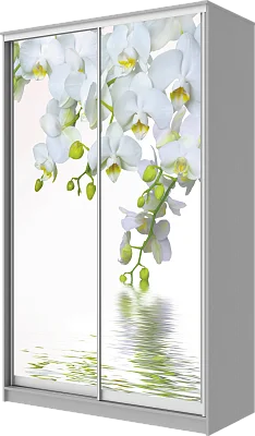 картинка Шкаф-купе 2-х дверный с фотопечатью Белая орхидея 2200 1682 620 от магазина КУПИ КУПЕ